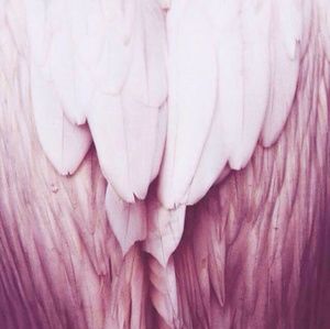 Meet your Posher, Christi